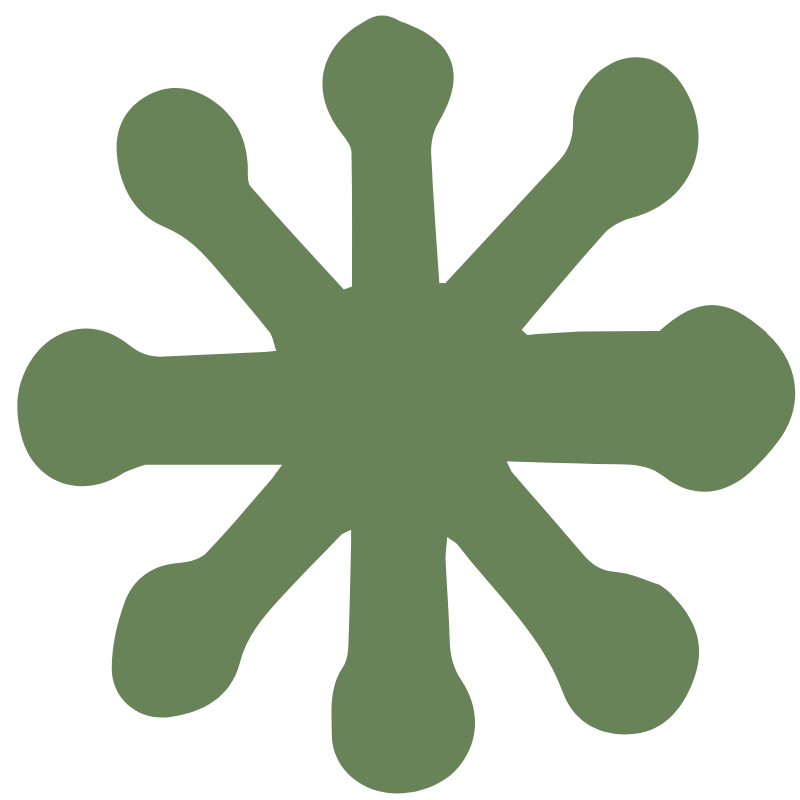 icon zertifikate auszeichnungen