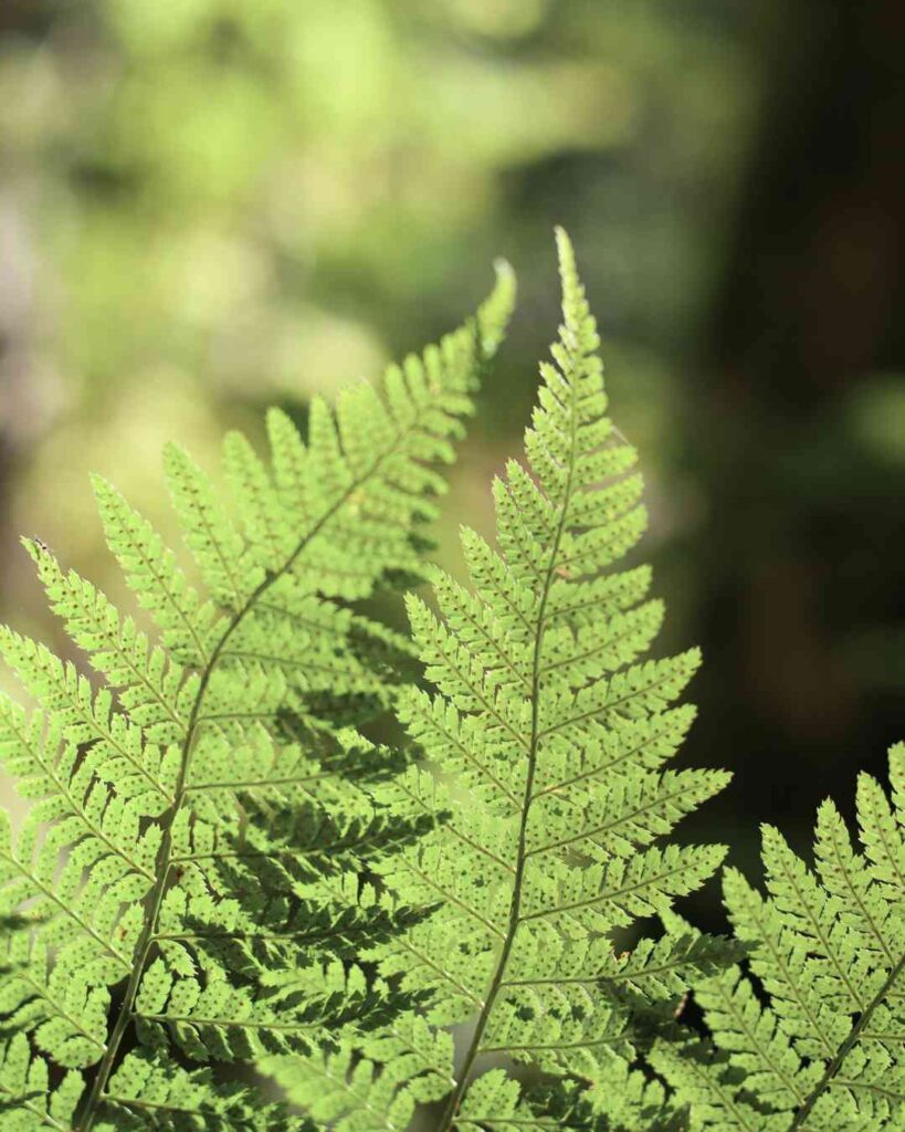 unisapon umweltschutz
